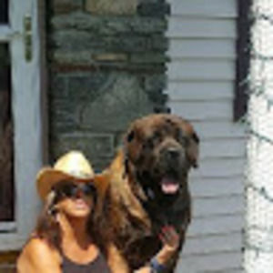 Meet your Posher, Heidi